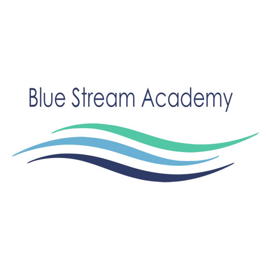 blue_stream_academy_elearning_site_icon